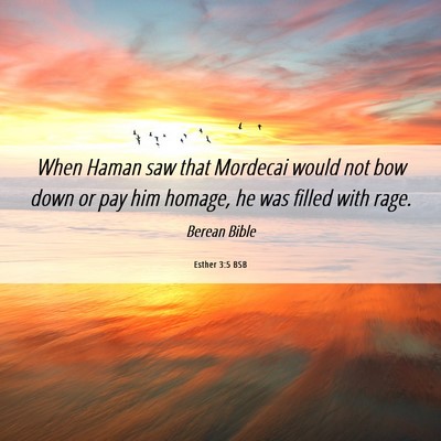Picture 06 - Esther 3:5 BSB - When Haman saw that Mordecai would not bow down - Bible Verse Picture