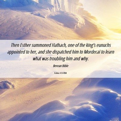Picture 06 - Esther 4:5 BSB - Then Esther summoned Hathach, one of the king’s - Bible Verse Picture