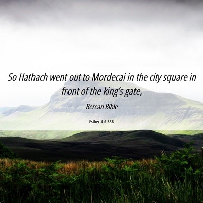Picture 06 - Esther 4:6 BSB - So Hathach went out to Mordecai in the city - Bible Verse Picture