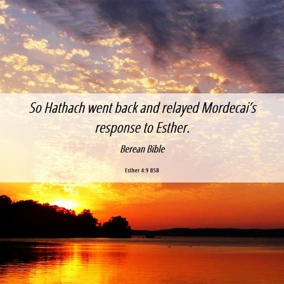 Picture 06 - Esther 4:9 BSB - So Hathach went back and relayed Mordecai’s - Bible Verse Picture