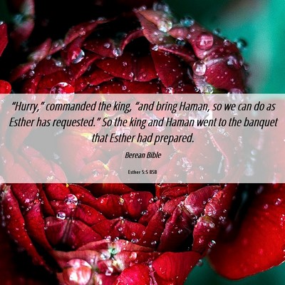 Picture 06 - Esther 5:5 BSB - “Hurry,” commanded the king, “and bring - Bible Verse Picture