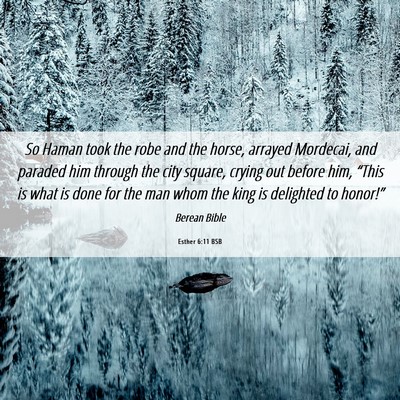 Picture 06 - Esther 6:11 BSB - So Haman took the robe and the horse, arrayed - Bible Verse Picture
