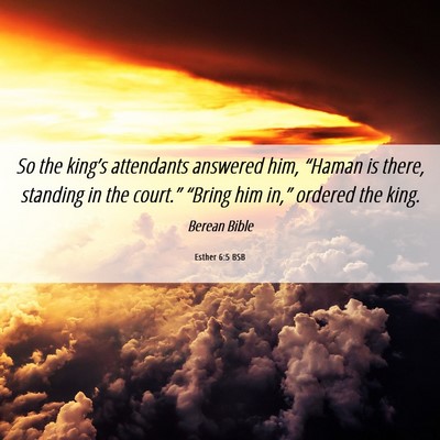 Picture 06 - Esther 6:5 BSB - So the king’s attendants answered him, “Haman - Bible Verse Picture