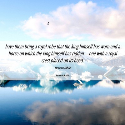 Picture 06 - Esther 6:8 BSB - have them bring a royal robe that the king - Bible Verse Picture