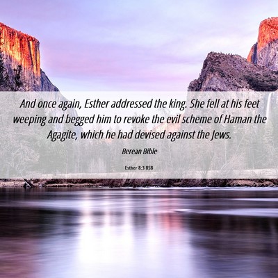 Picture 06 - Esther 8:3 BSB - And once again, Esther addressed the king. She - Bible Verse Picture