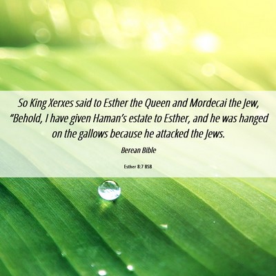 Picture 06 - Esther 8:7 BSB - So King Xerxes said to Esther the Queen and - Bible Verse Picture