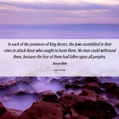 Picture 06 - Esther 9:2 BSB - In each of the provinces of King Xerxes, the Jews - Bible Verse Picture