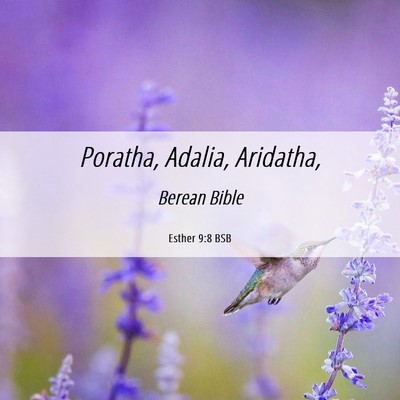 Picture 06 - Esther 9:8 BSB - Poratha, Adalia, - Bible Verse Picture