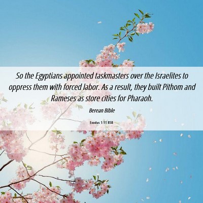 Picture 06 - Exodus 1:11 BSB - So the Egyptians appointed taskmasters over the - Bible Verse Picture