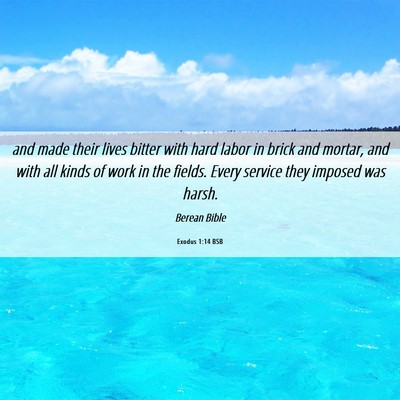 Picture 06 - Exodus 1:14 BSB - and made their lives bitter with hard labor in - Bible Verse Picture