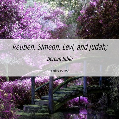 Picture 06 - Exodus 1:2 BSB - Reuben, Simeon, Levi, and - Bible Verse Picture
