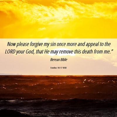 Picture 06 - Exodus 10:17 BSB - Now please forgive my sin once more and appeal to - Bible Verse Picture