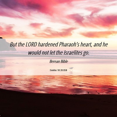 Picture 06 - Exodus 10:20 BSB - But the LORD hardened Pharaoh’s heart, and he - Bible Verse Picture