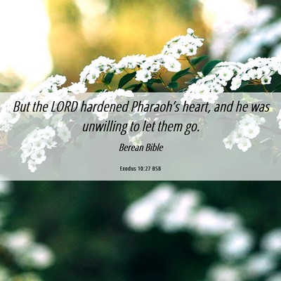 Picture 06 - Exodus 10:27 BSB - But the LORD hardened Pharaoh’s heart, and he - Bible Verse Picture