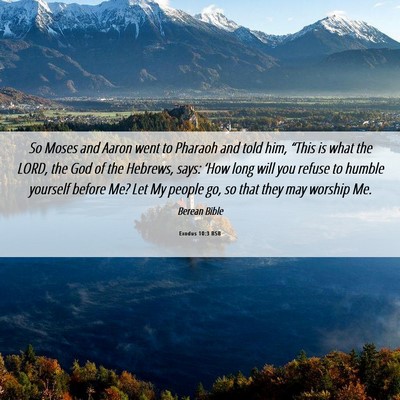 Picture 06 - Exodus 10:3 BSB - So Moses and Aaron went to Pharaoh and told him, - Bible Verse Picture