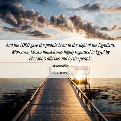 Picture 06 - Exodus 11:3 BSB - And the LORD gave the people favor in the sight - Bible Verse Picture