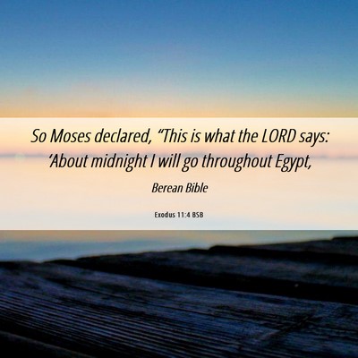 Picture 06 - Exodus 11:4 BSB - So Moses declared, “This is what the LORD says: - Bible Verse Picture