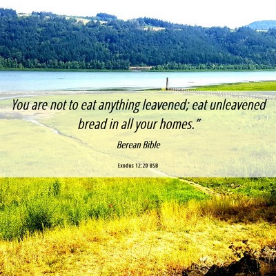Picture 06 - Exodus 12:20 BSB - You are not to eat anything leavened; eat - Bible Verse Picture