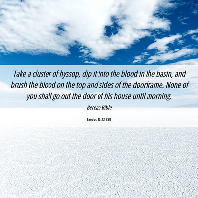 Picture 06 - Exodus 12:22 BSB - Take a cluster of hyssop, dip it into the blood - Bible Verse Picture