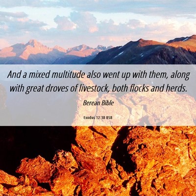 Picture 06 - Exodus 12:38 BSB - And a mixed multitude also went up with them, - Bible Verse Picture