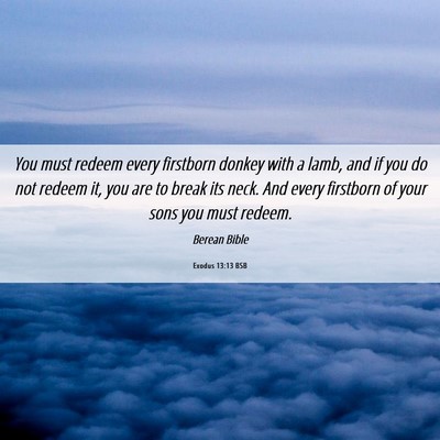 Picture 06 - Exodus 13:13 BSB - You must redeem every firstborn donkey with a - Bible Verse Picture