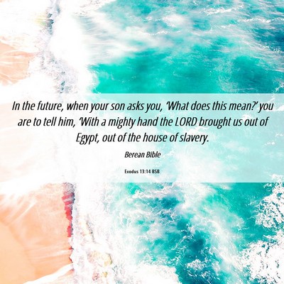 Picture 06 - Exodus 13:14 BSB - In the future, when your son asks you, ‘What - Bible Verse Picture