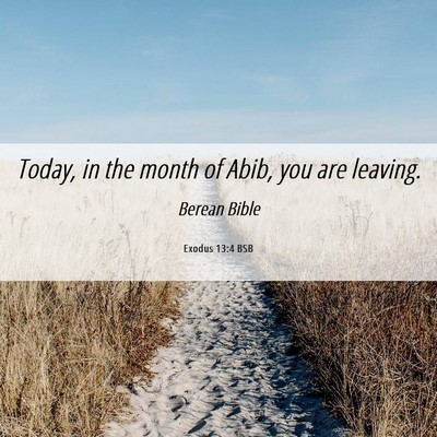 Picture 06 - Exodus 13:4 BSB - Today, in the month of Abib, you are - Bible Verse Picture