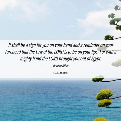 Picture 06 - Exodus 13:9 BSB - It shall be a sign for you on your hand and a - Bible Verse Picture