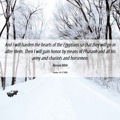 Picture 06 - Exodus 14:17 BSB - And I will harden the hearts of the Egyptians so - Bible Verse Picture