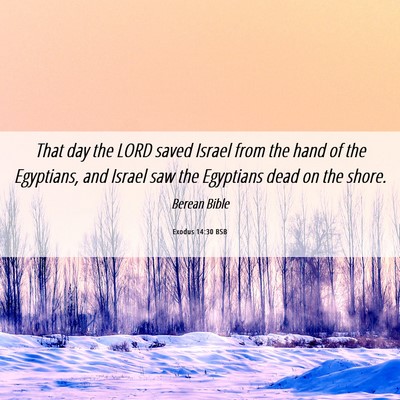 Picture 06 - Exodus 14:30 BSB - That day the LORD saved Israel from the hand of - Bible Verse Picture