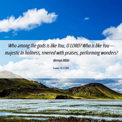 Picture 06 - Exodus 15:11 BSB - Who among the gods is like You, O LORD? Who is - Bible Verse Picture