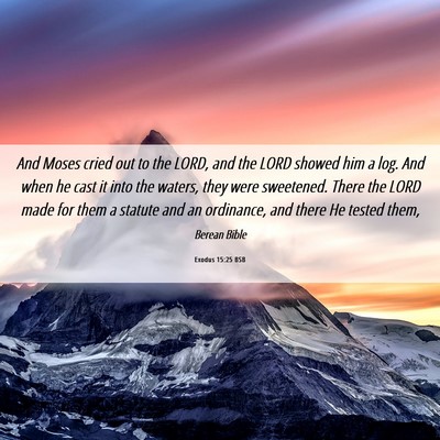 Picture 06 - Exodus 15:25 BSB - And Moses cried out to the LORD, and the LORD - Bible Verse Picture