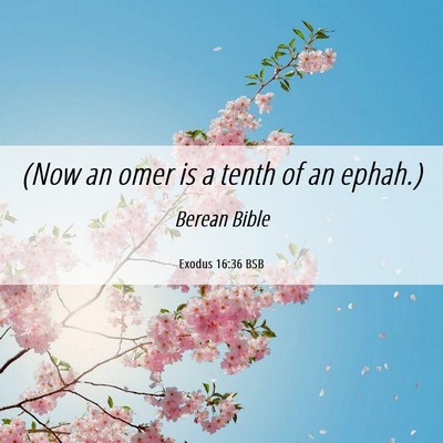 Picture 06 - Exodus 16:36 BSB - (Now an omer is a tenth of an - Bible Verse Picture