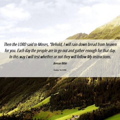 Picture 06 - Exodus 16:4 BSB - Then the LORD said to Moses, “Behold, I will - Bible Verse Picture