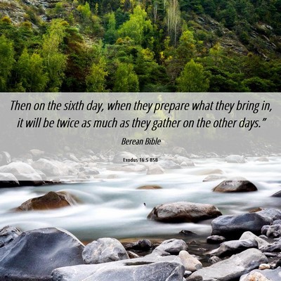Picture 06 - Exodus 16:5 BSB - Then on the sixth day, when they prepare what - Bible Verse Picture