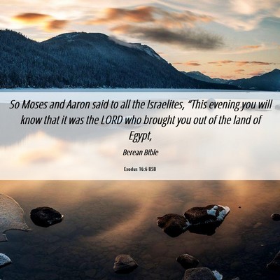 Picture 06 - Exodus 16:6 BSB - So Moses and Aaron said to all the Israelites, - Bible Verse Picture