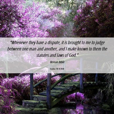 Picture 06 - Exodus 18:16 BSB - “Whenever they have a dispute, it is brought to - Bible Verse Picture