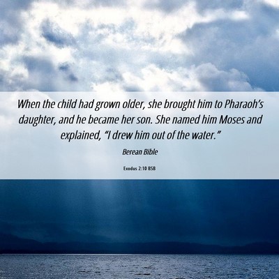 Picture 06 - Exodus 2:10 BSB - When the child had grown older, she brought him - Bible Verse Picture