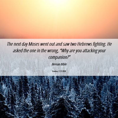 Picture 06 - Exodus 2:13 BSB - The next day Moses went out and saw two Hebrews - Bible Verse Picture