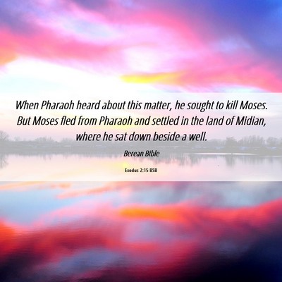 Picture 06 - Exodus 2:15 BSB - When Pharaoh heard about this matter, he sought - Bible Verse Picture