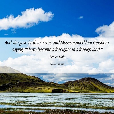 Picture 06 - Exodus 2:22 BSB - And she gave birth to a son, and Moses named him - Bible Verse Picture