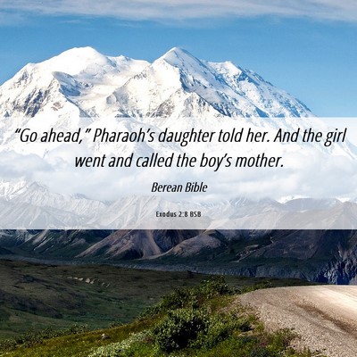 Picture 06 - Exodus 2:8 BSB - “Go ahead,” Pharaoh’s daughter told her. - Bible Verse Picture