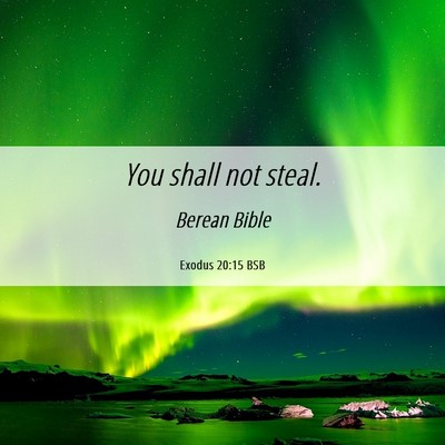 Picture 06 - Exodus 20:15 BSB - You shall not - Bible Verse Picture