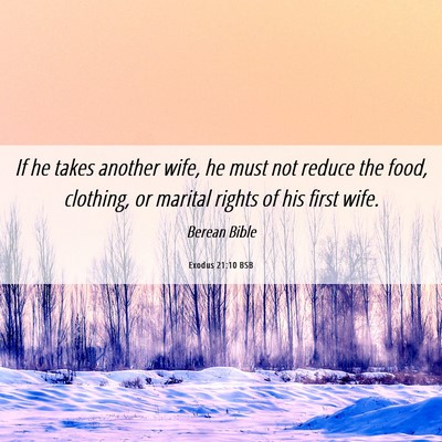 Picture 06 - Exodus 21:10 BSB - If he takes another wife, he must not reduce the - Bible Verse Picture