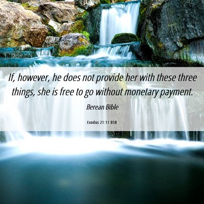 Picture 06 - Exodus 21:11 BSB - If, however, he does not provide her with these - Bible Verse Picture