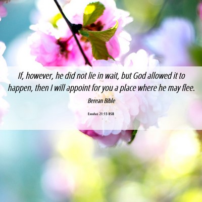 Picture 06 - Exodus 21:13 BSB - If, however, he did not lie in wait, but God - Bible Verse Picture