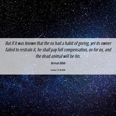 Picture 06 - Exodus 21:36 BSB - But if it was known that the ox had a habit of - Bible Verse Picture