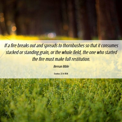 Picture 06 - Exodus 22:6 BSB - If a fire breaks out and spreads to thornbushes - Bible Verse Picture