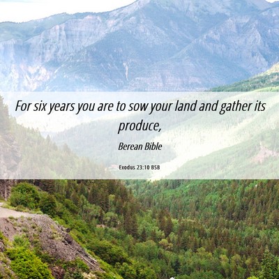 Picture 06 - Exodus 23:10 BSB - For six years you are to sow your land and gather - Bible Verse Picture