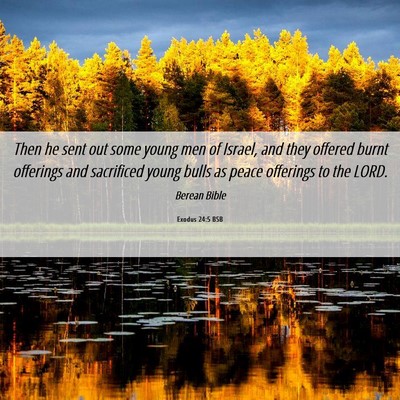 Picture 06 - Exodus 24:5 BSB - Then he sent out some young men of Israel, and - Bible Verse Picture